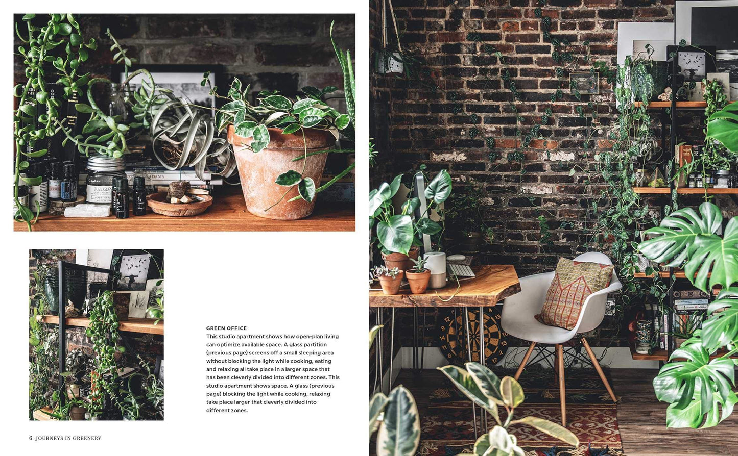 Book- Wild Interiors: Beautiful Plants in Beautiful Spaces
