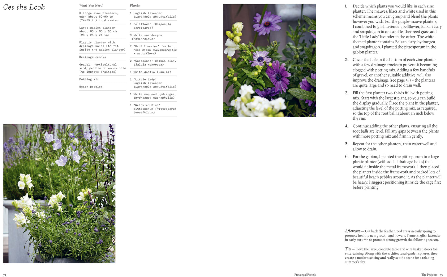 Modern Container Gardening Book