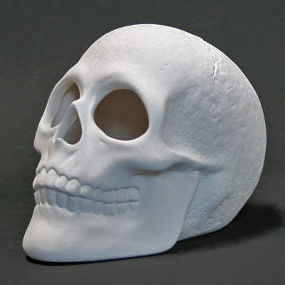 Skull 9.5cm