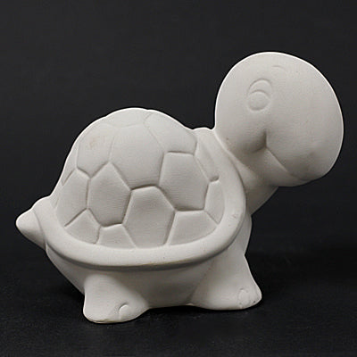 Tortoise bank