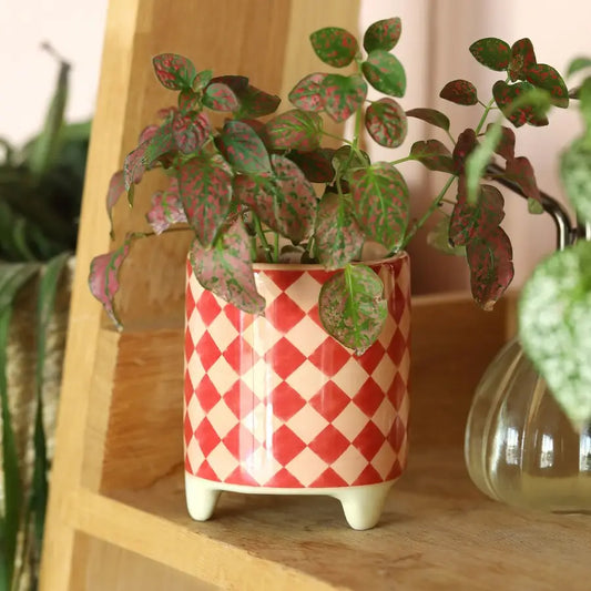 Pink and Red Check Mini Plant Pot