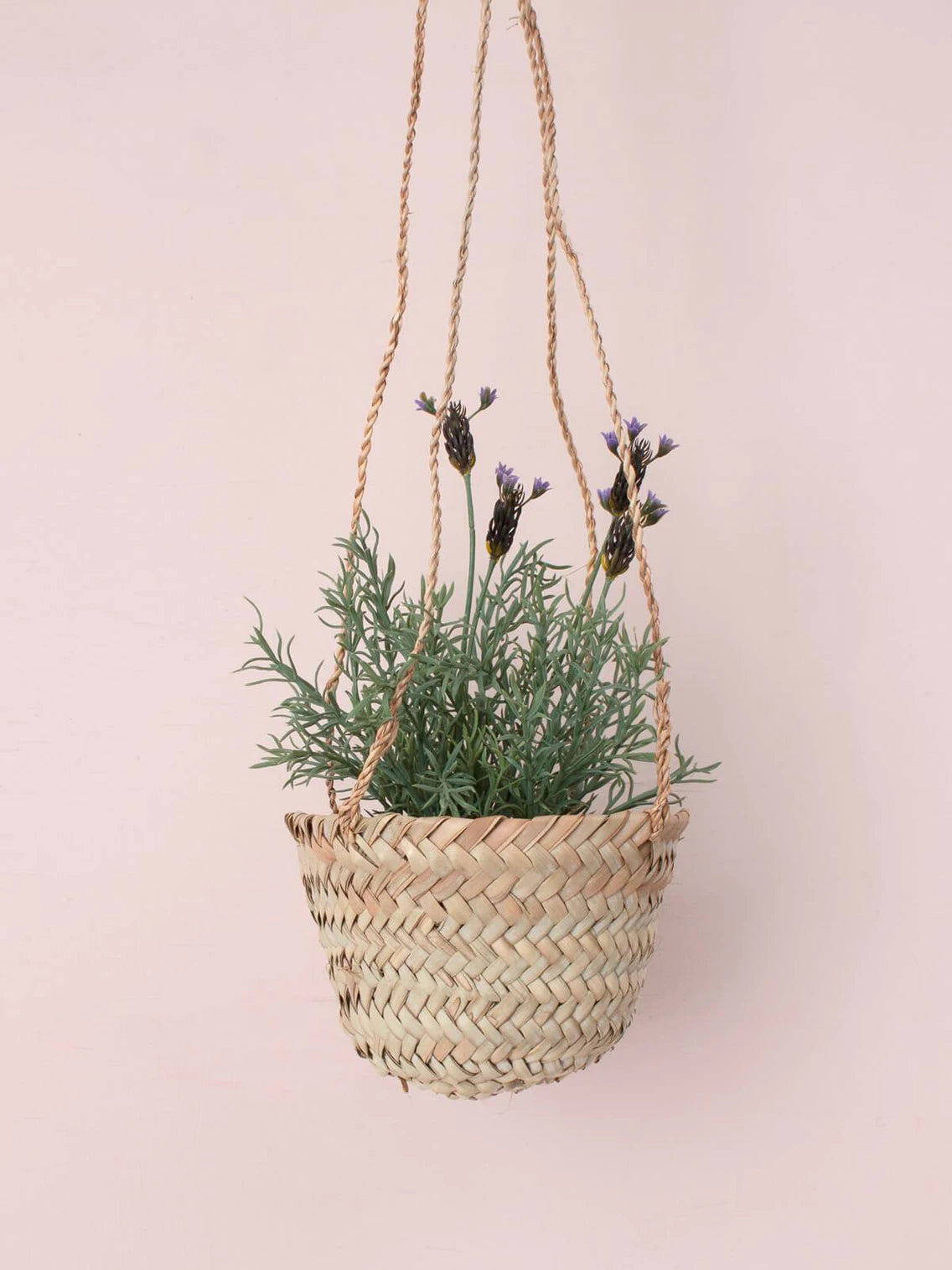 Hanging Planter Baskets