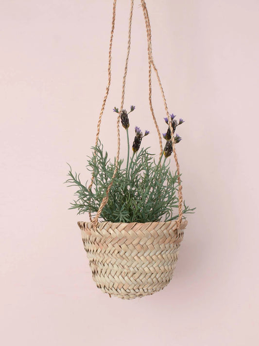 Basket Hanging Plant Holder