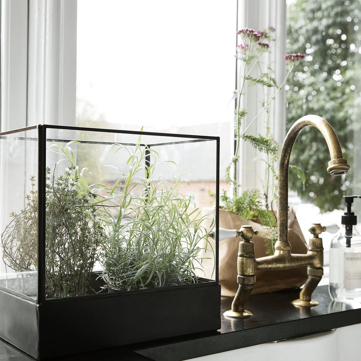 Plant Display Box - Black