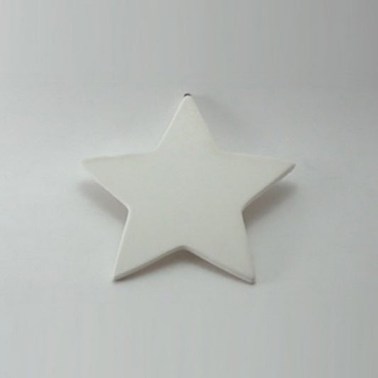 Star Decoration 13.0cm